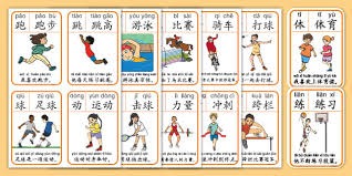 引发众怒，电讯报：摩洛哥为承办国际赛事大规模捕杀流浪狗