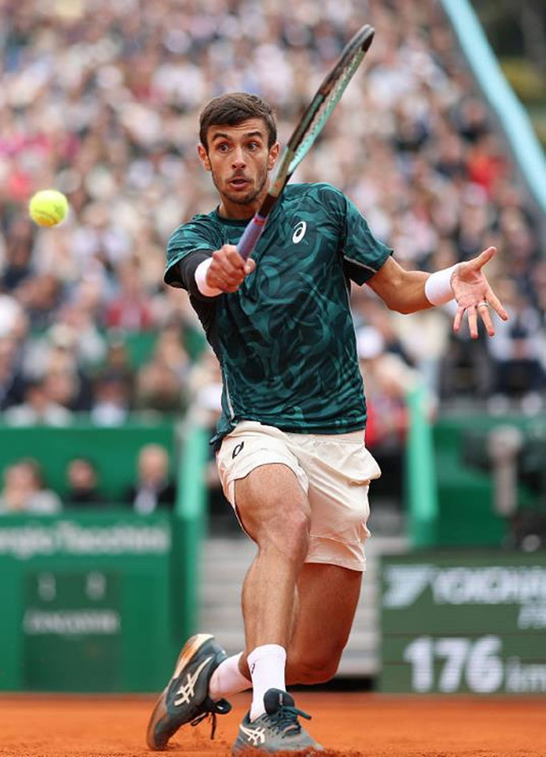 5年才能全 5年才能全